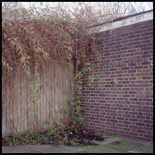 corner