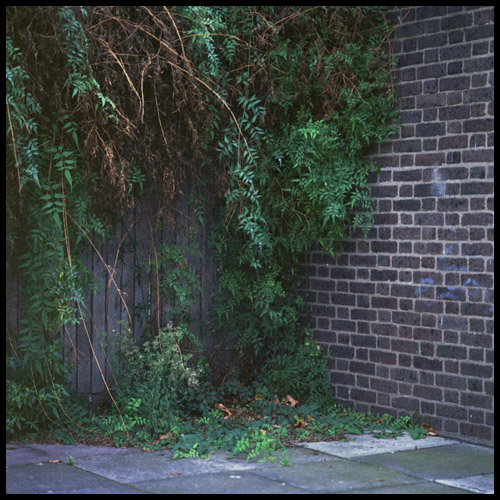 corner